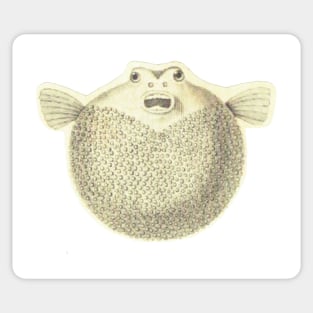 Vintage Pufferfish Sticker